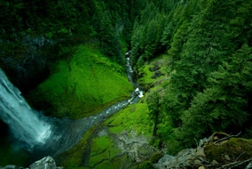 CCTV-kamera-toepassing vir vuurbeskerming vir die woud